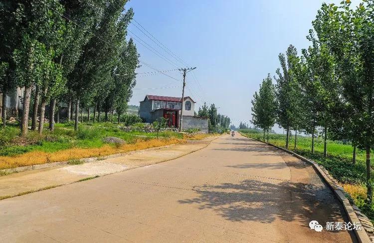 新泰市东都镇平陵村 地名背后的历史沧桑与房产记忆